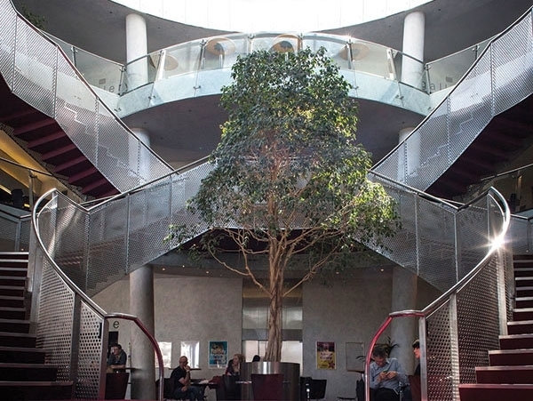 DUBLIN CITY UNIVERSITY - DUBLINO - FLAT&FRIENDS